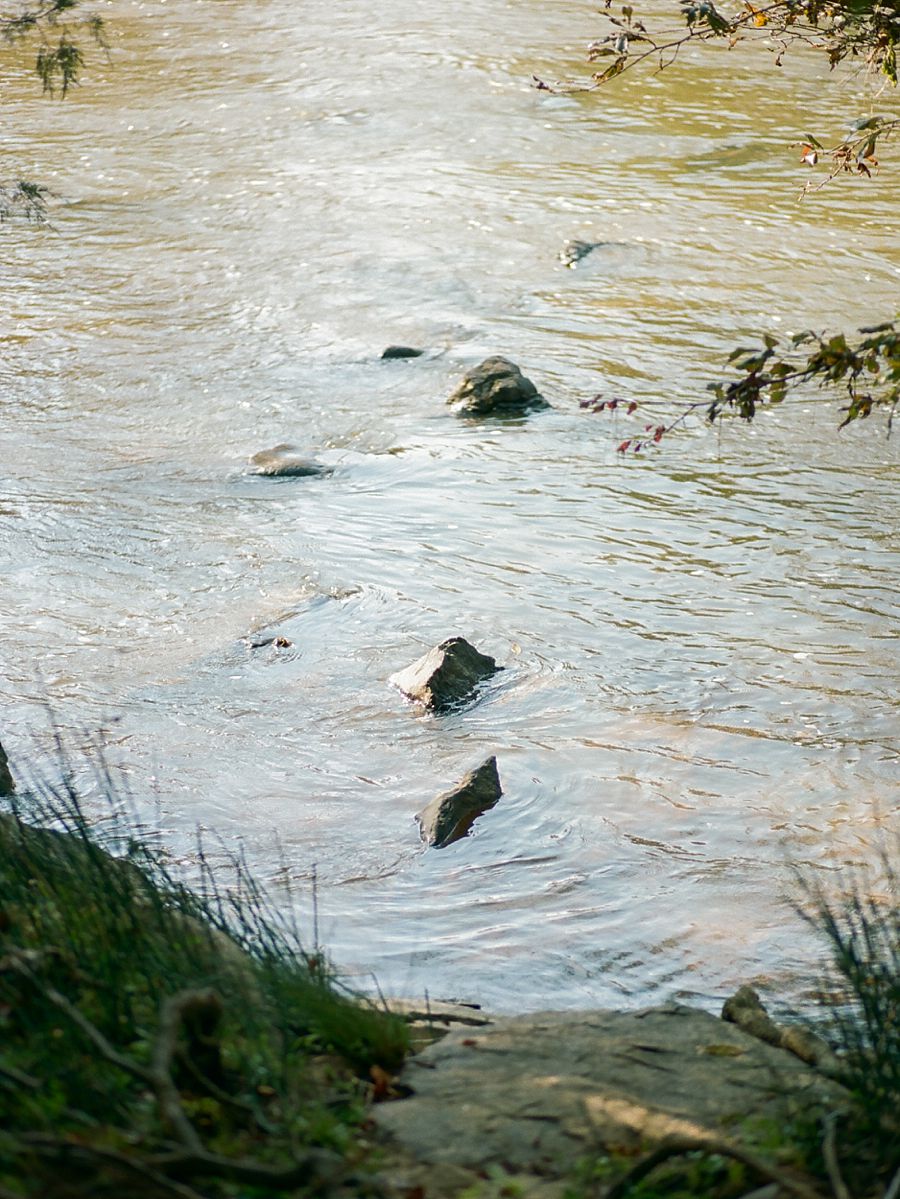 Intimate River Wedding