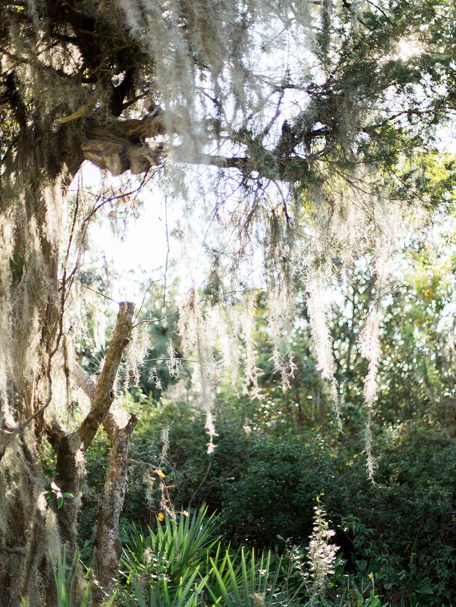 Charleston SC Film Wedding