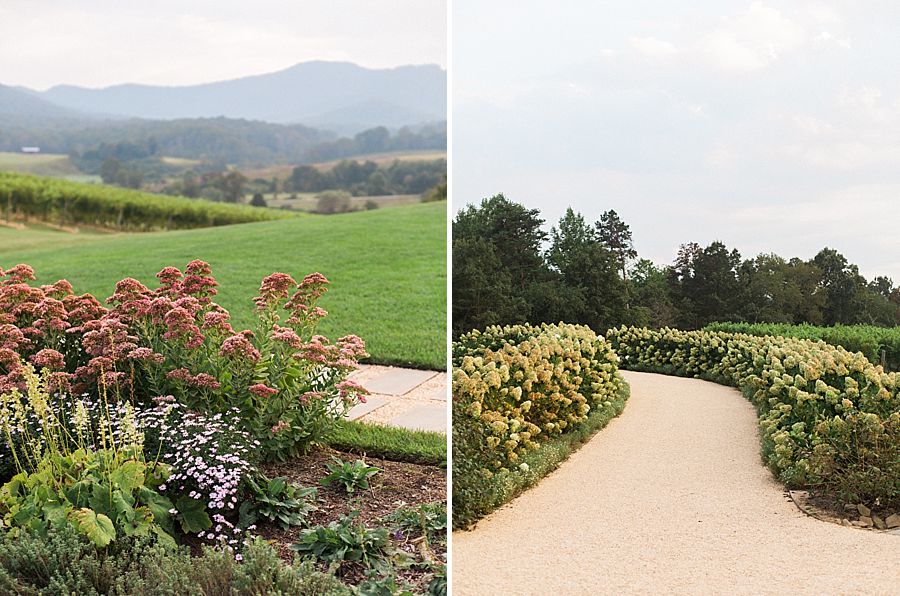 Pippin Hill Fine Art Film Wedding