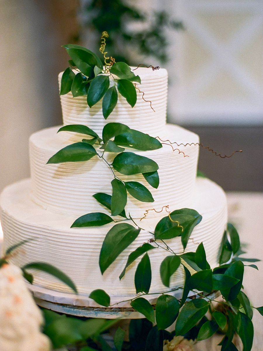 Pippin Hill Fine Art Film Wedding