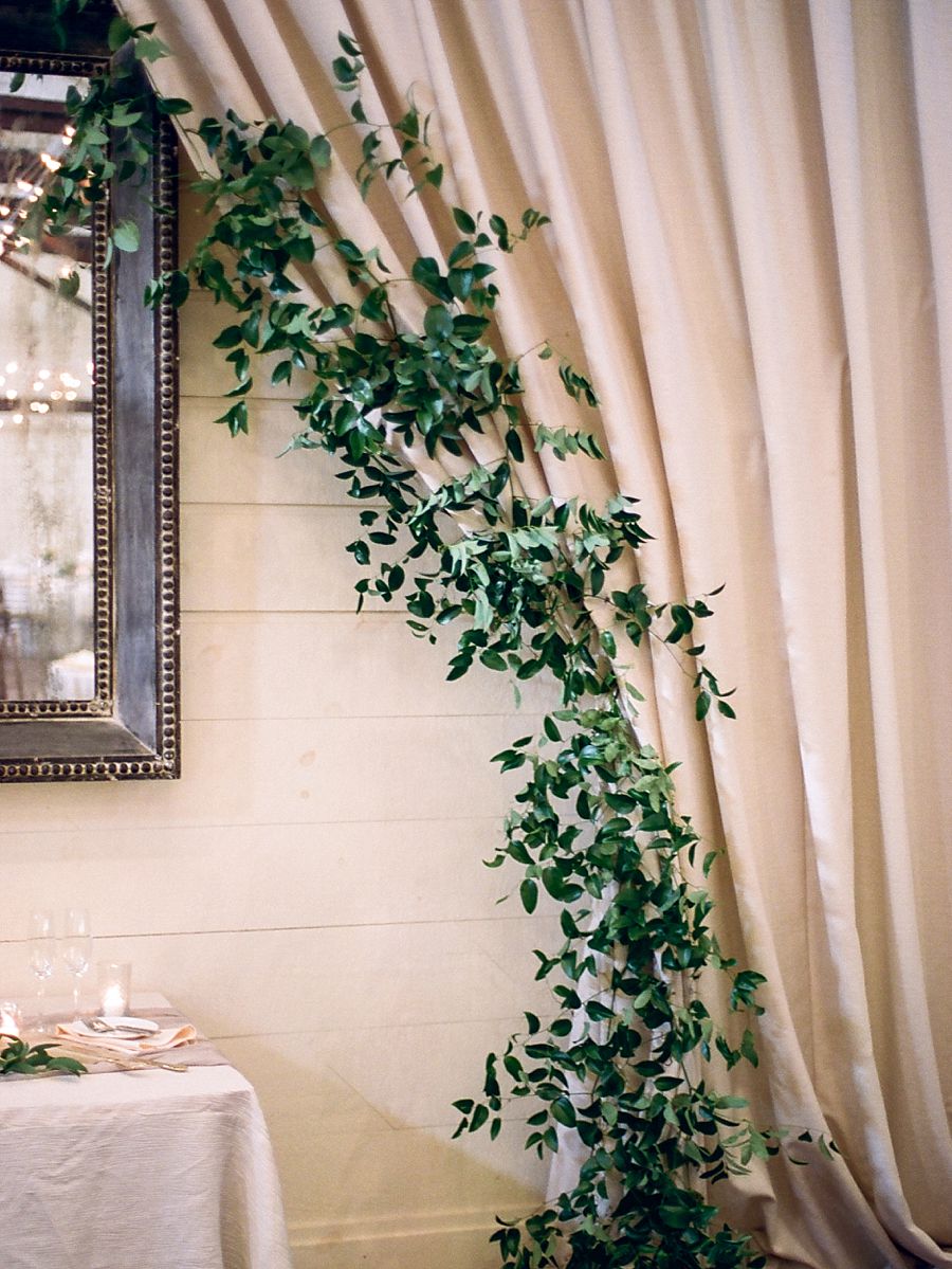Pippin Hill Wedding Photographer