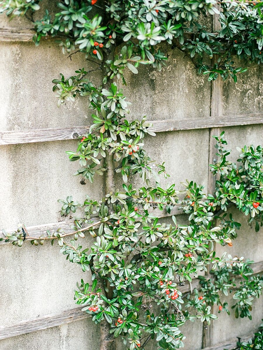 Graylyn Estate Wedding Photography