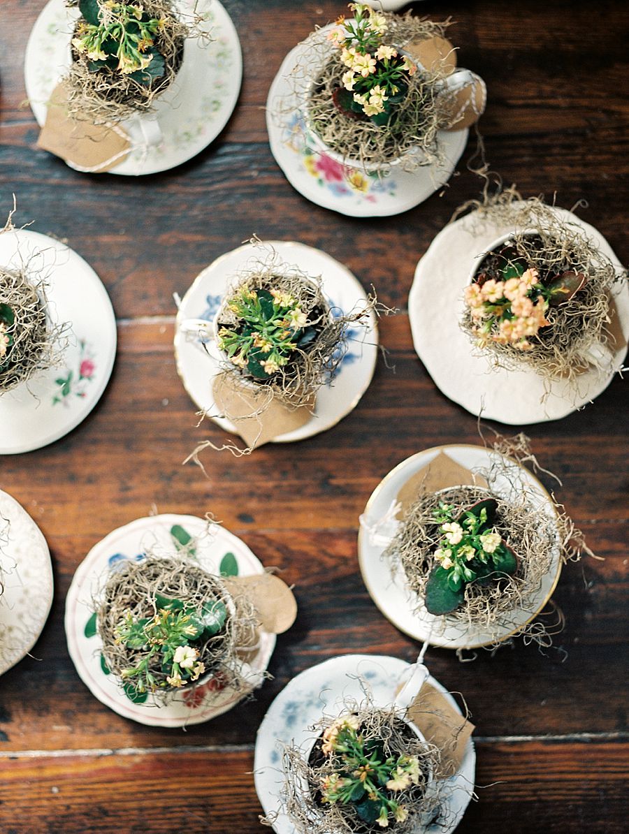 Intimate Pop-Up Wedding