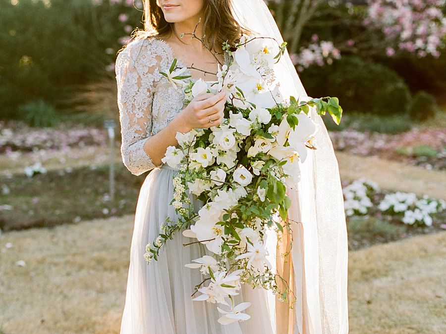 The White Wren Inspiration 