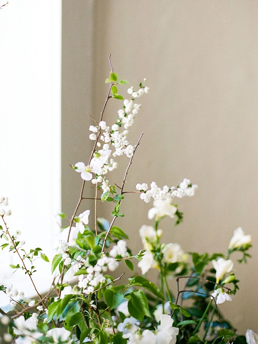 The White Wren Brand