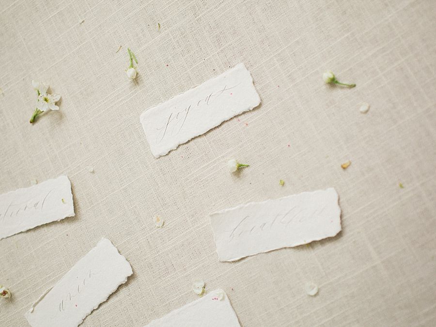 The White Wren Brand