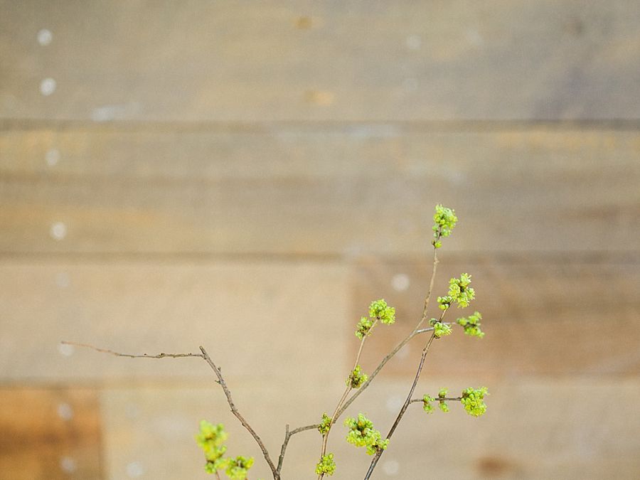 Fine Art Brand Photography
