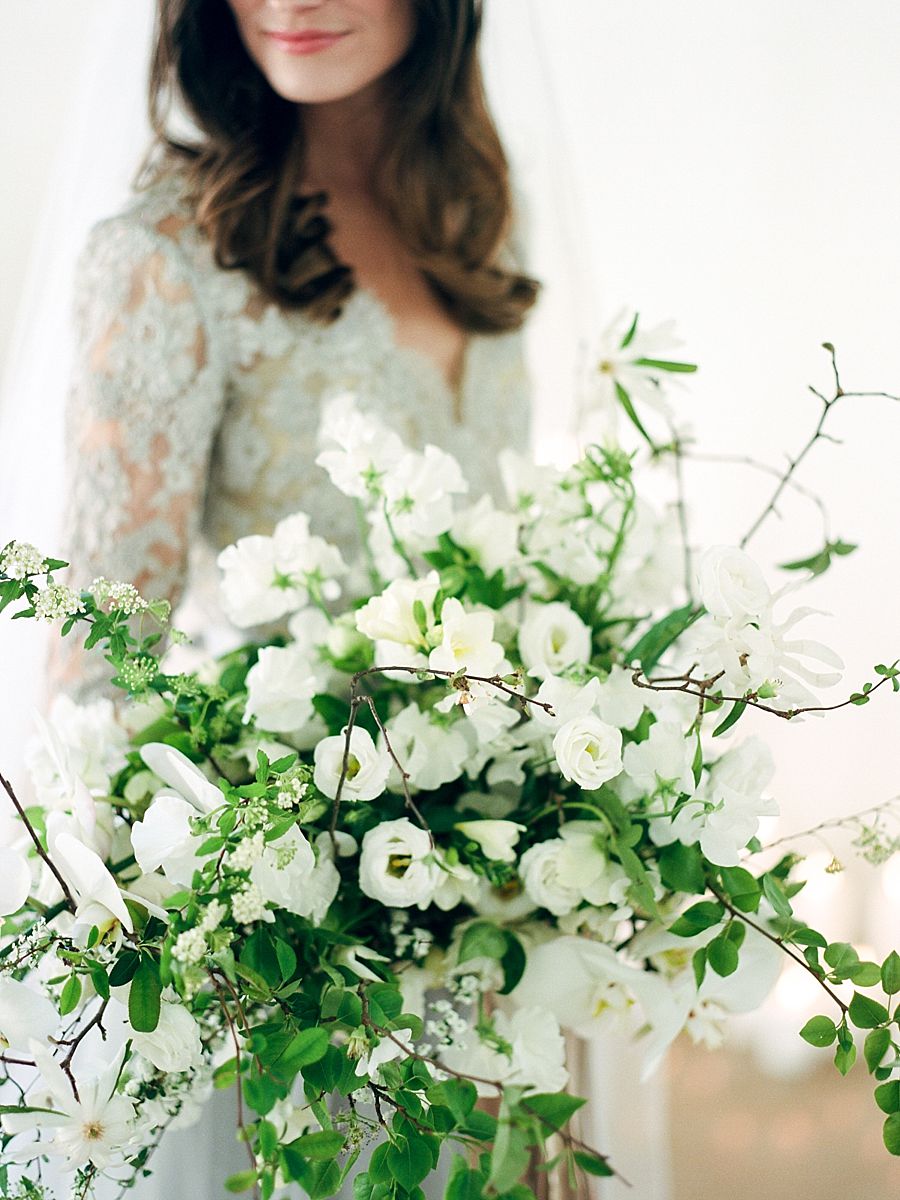 The White Wren Brand