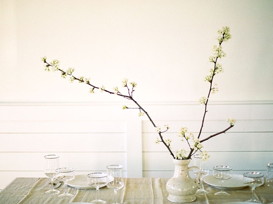 The White Wren Inspiration 