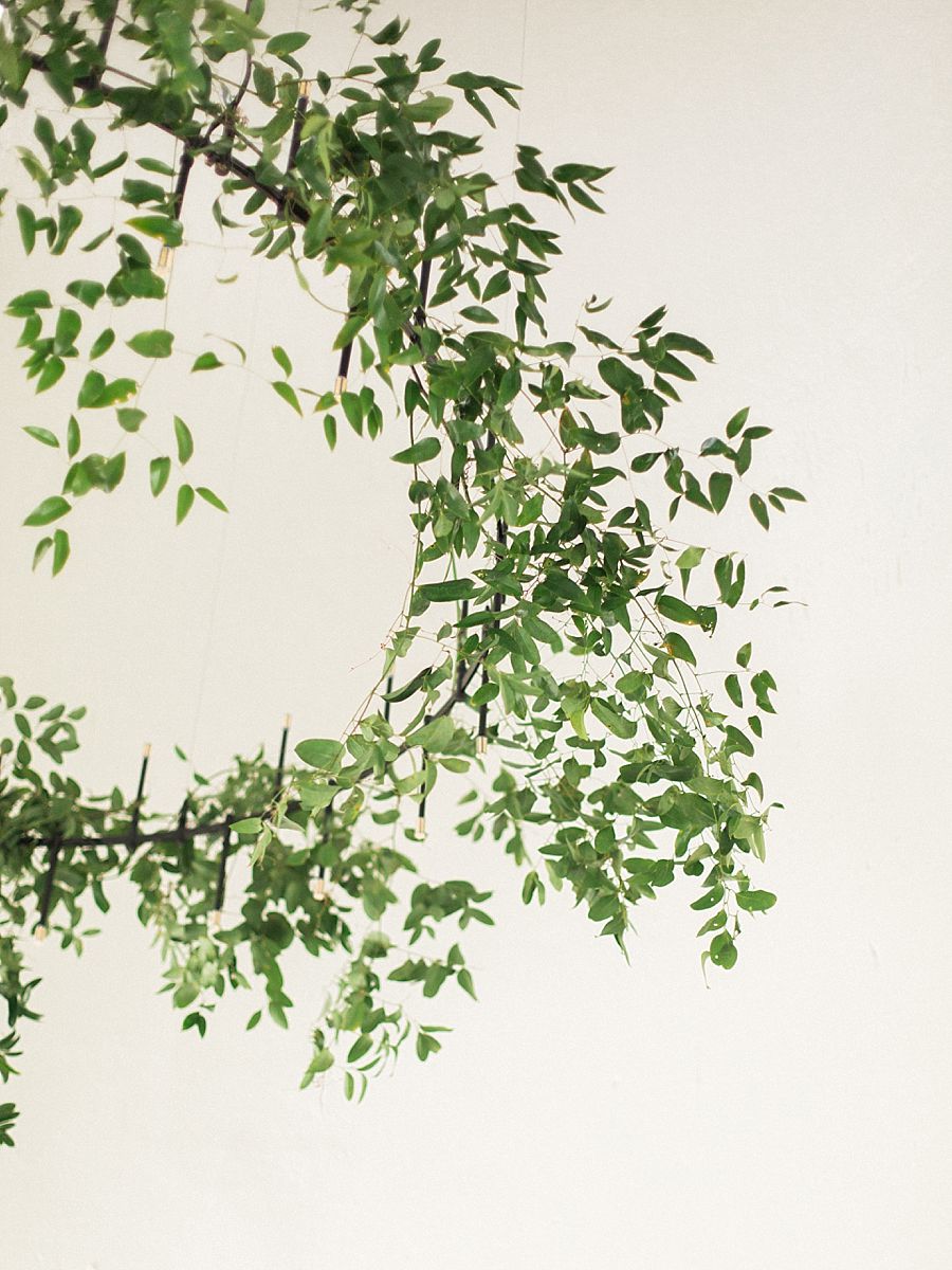 The White Wren Branding