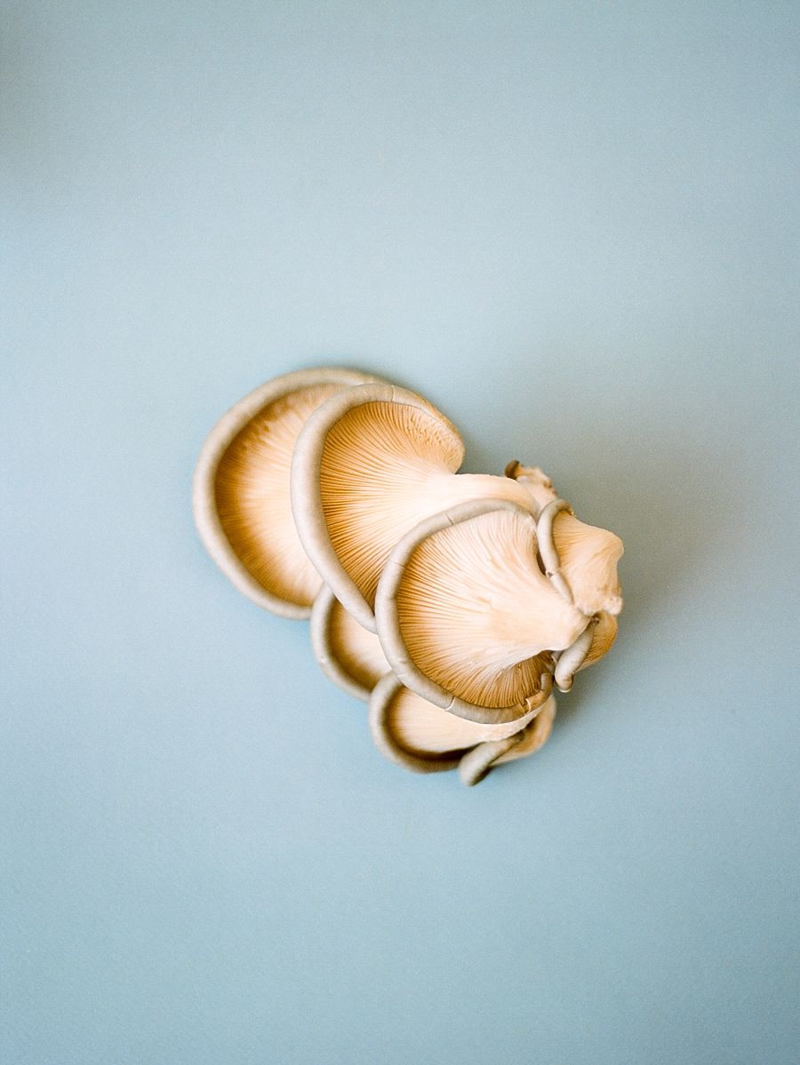 Floral Detail Editorial Styling