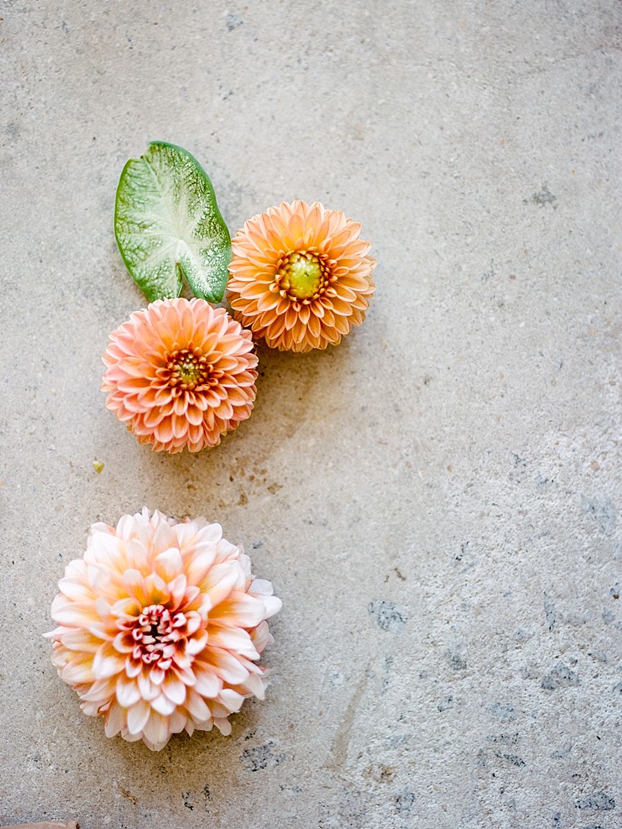Floral Detail Editorial Styling