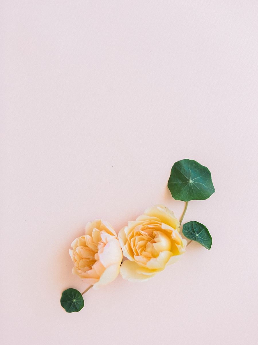 Floral Detail Editorial Styling