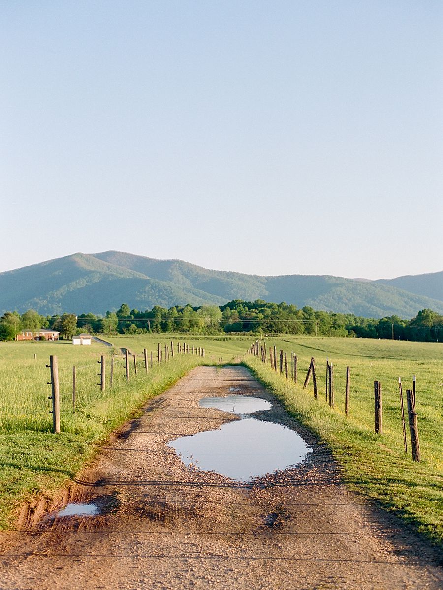North Carolina Wedding Photographer