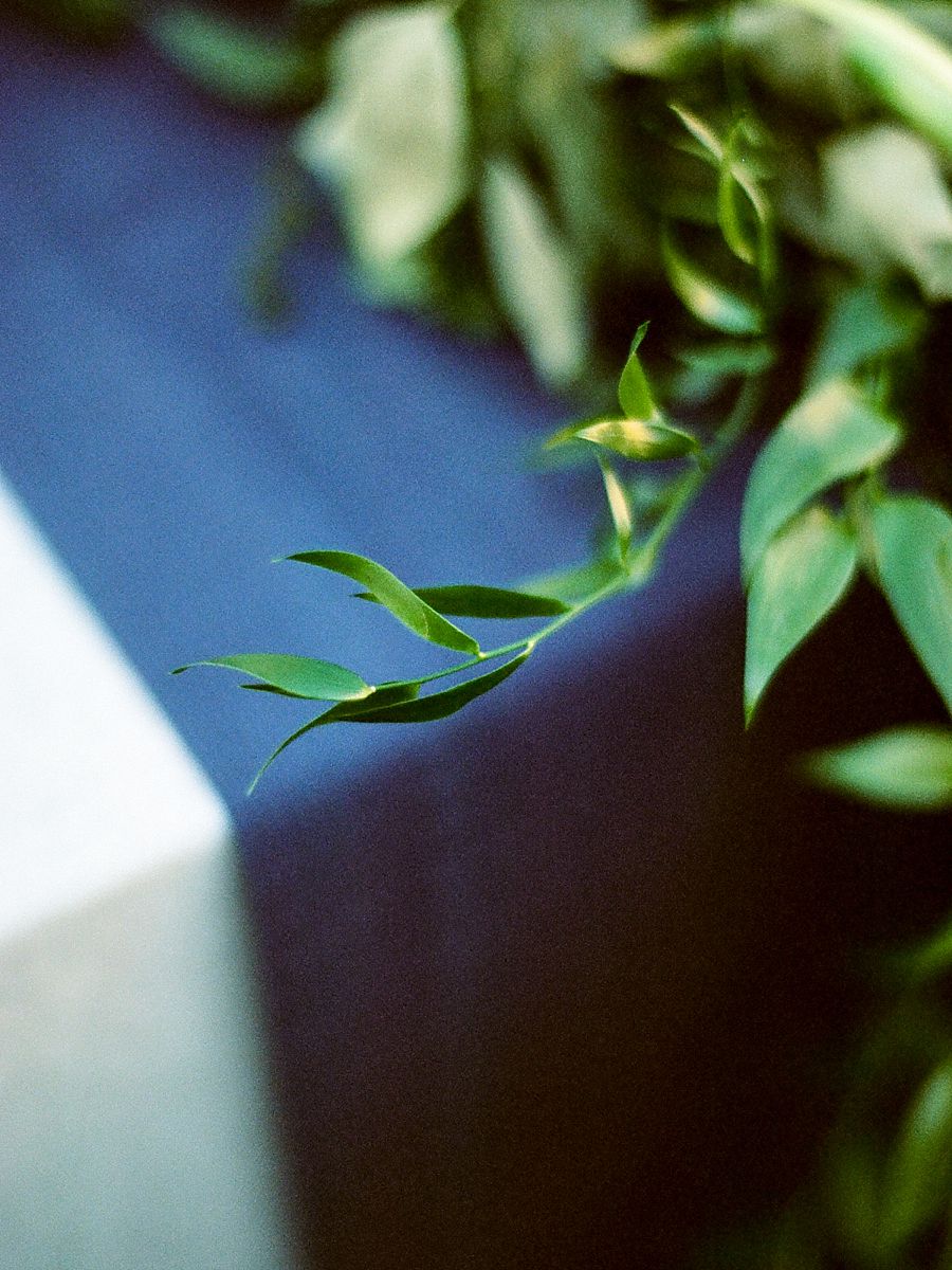 North Carolina Film Photographer